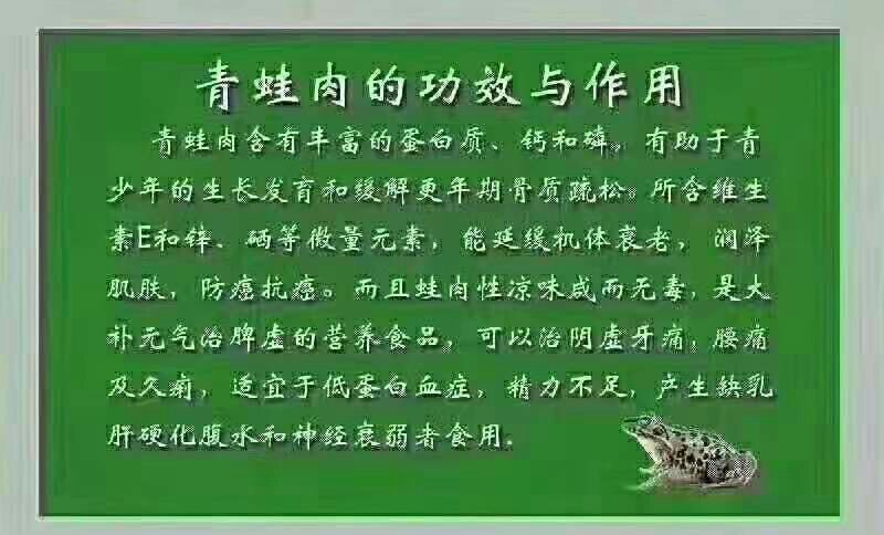 供应青蛙苗，包技术，包回收