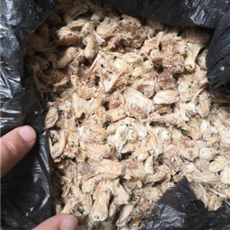 雄蚕蛾，常年批发各种规格雄蚕蛾，中药材，量大从优
