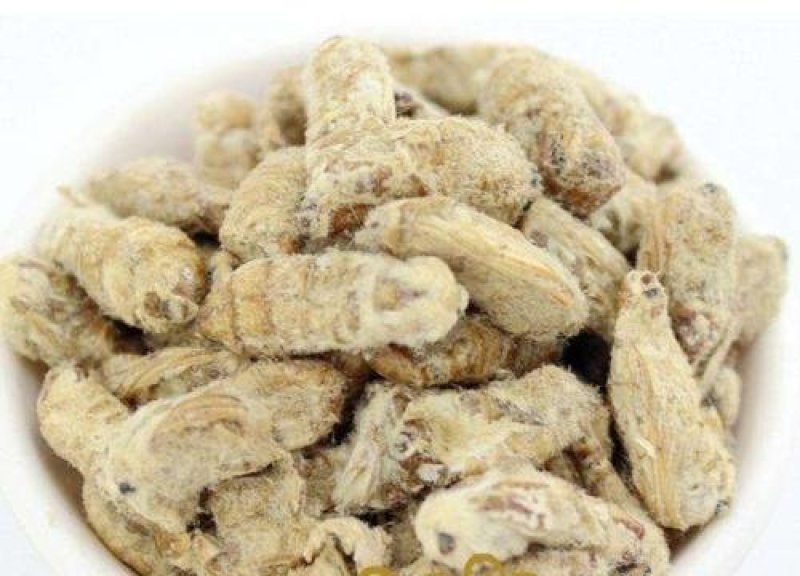 雄蚕蛾，常年批发各种规格雄蚕蛾，中药材，量大从优