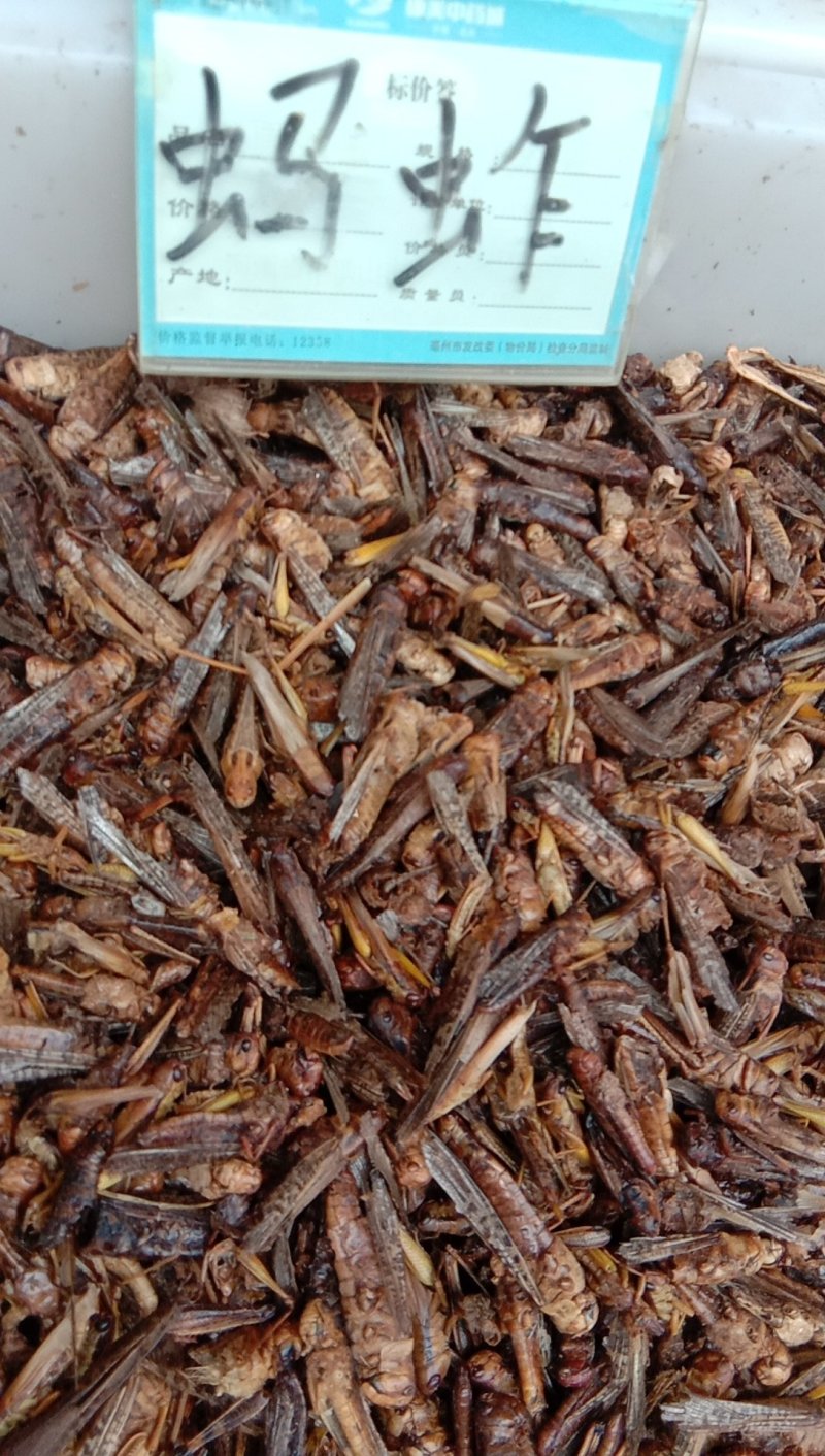 蚂蚱，常年批发供应药食同源蚂蚱中药材，量大从优包邮