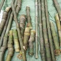 竹工艺品
