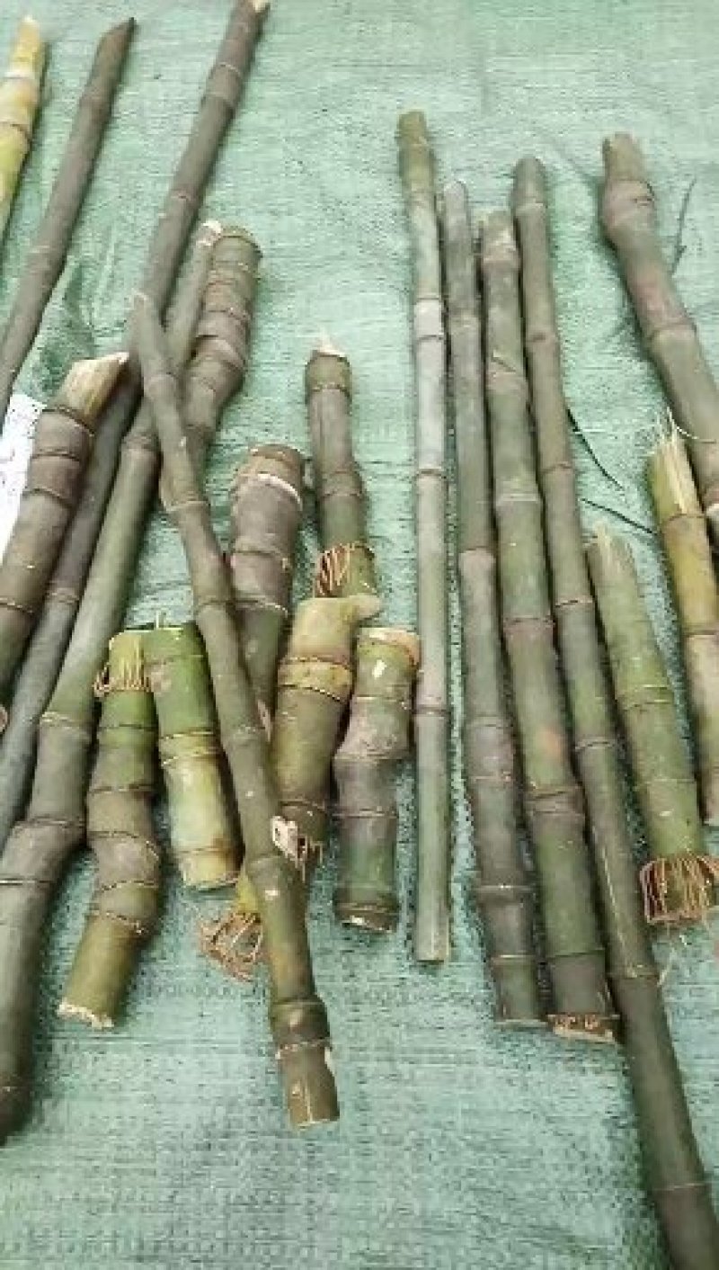 竹工艺品
