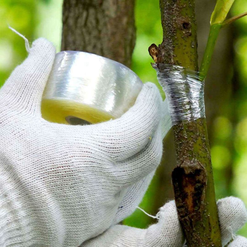 嫁接膜果树缠绕膜嫁接专用塑料薄膜自粘嫁接剪刀透明拉伸膜保