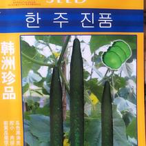韩洲珍品瓜色黑油亮瓜长35—38心腔小肉绿色清香好吃