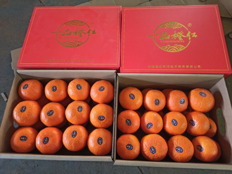 云南高原沃柑当季新鲜沃柑市场电商社区团购一件代发