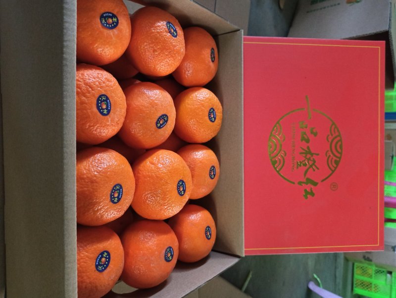 云南高原沃柑当季新鲜沃柑市场电商社区团购一件代发