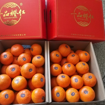 云南高原沃柑当季新鲜沃柑市场电商社区团购一件代发
