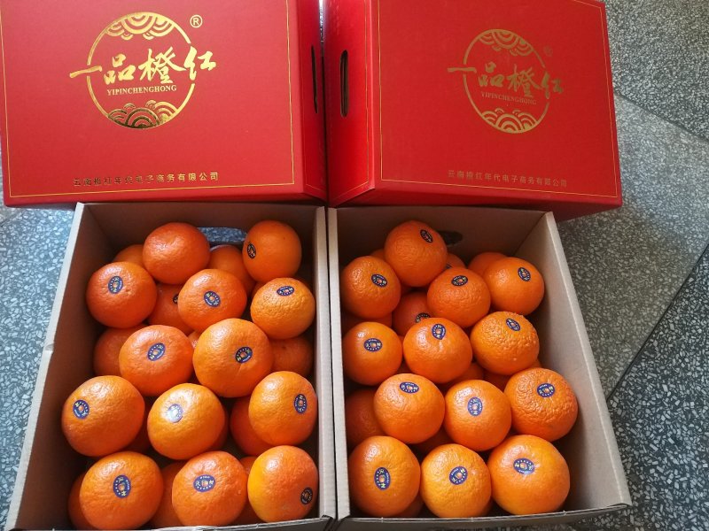 云南高原沃柑当季新鲜沃柑市场电商社区团购一件代发