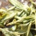 代销各种龙井茶，厂家直接发货，保证出厂价销售，诚信为本。