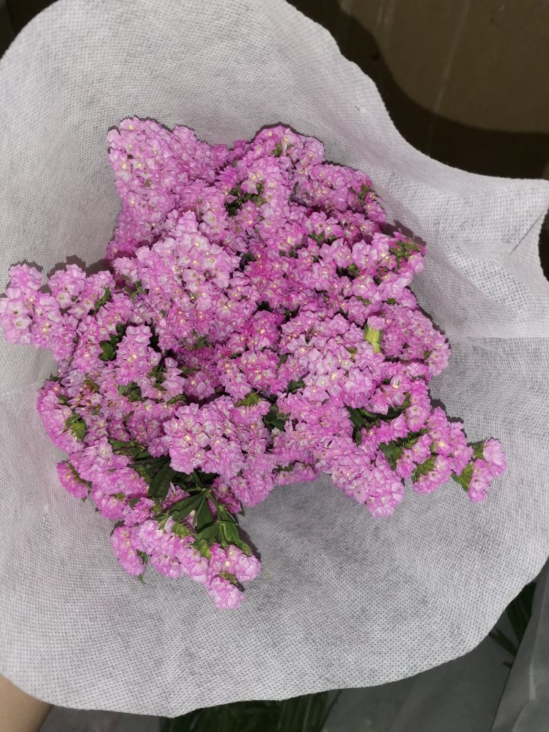 好花平价勿忘我年花拜佛求缘，第一首选