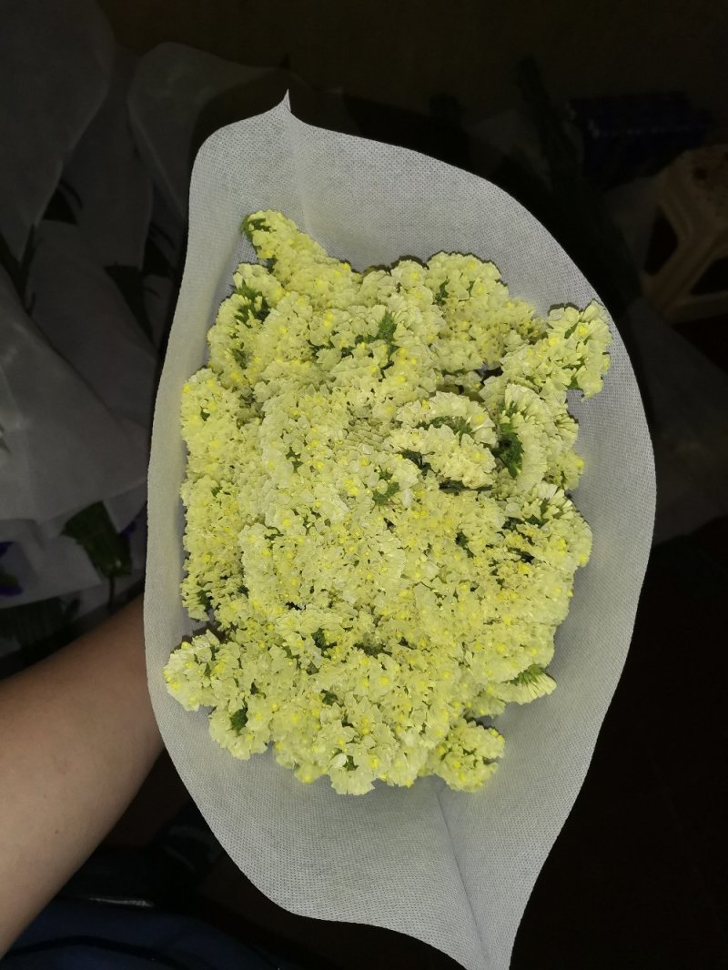 好花平价勿忘我年花拜佛求缘，第一首选