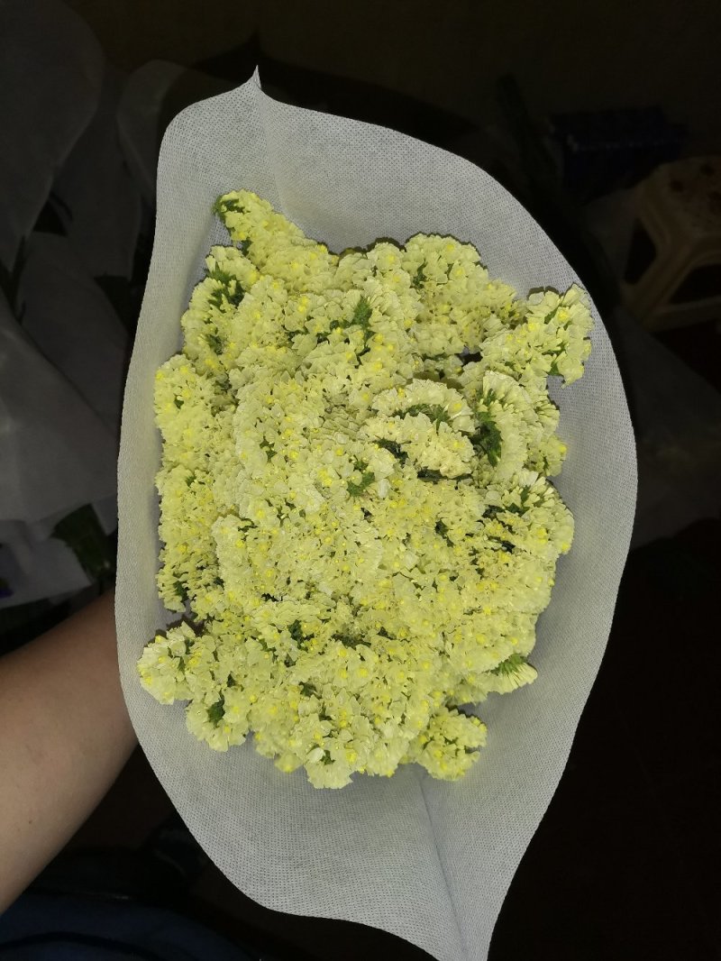好花平价勿忘我年花拜佛求缘，第一首选