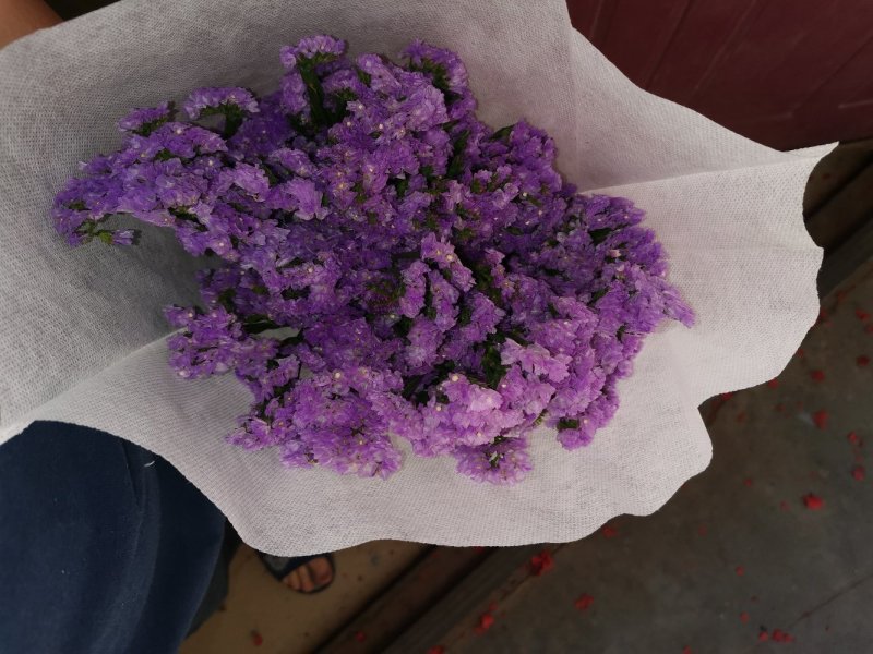好花平价勿忘我年花拜佛求缘，第一首选