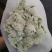 好花平价勿忘我年花拜佛求缘，第一首选