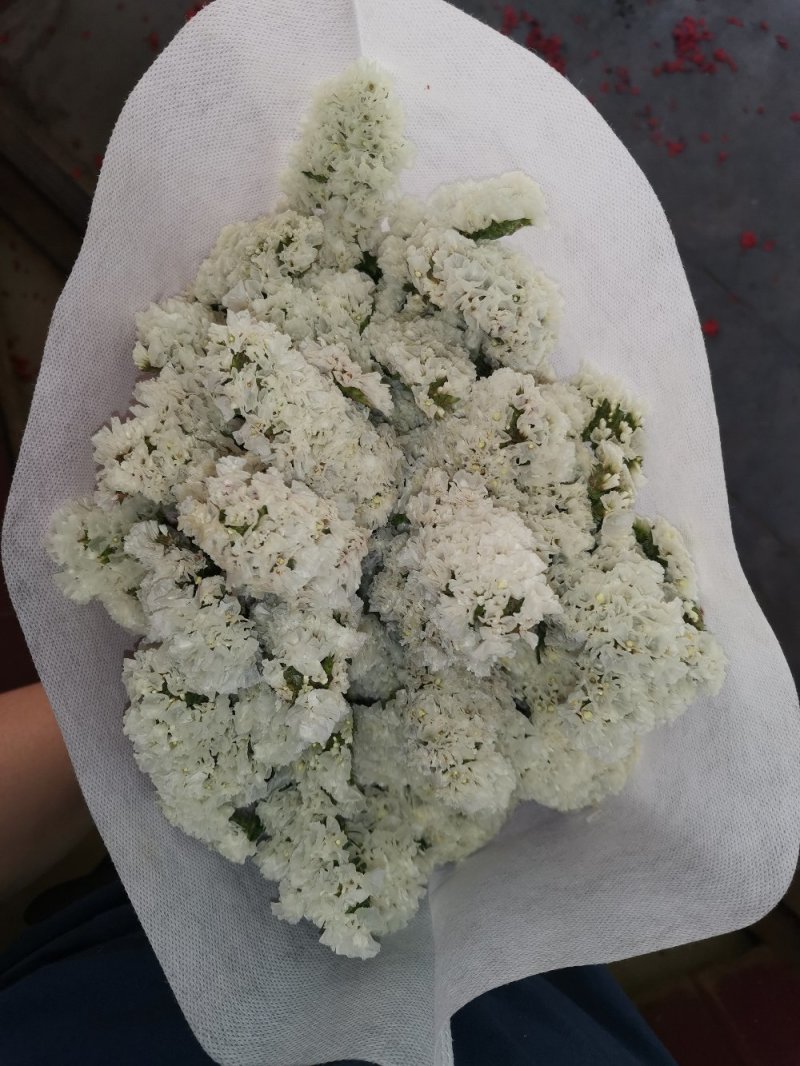 好花平价勿忘我年花拜佛求缘，第一首选