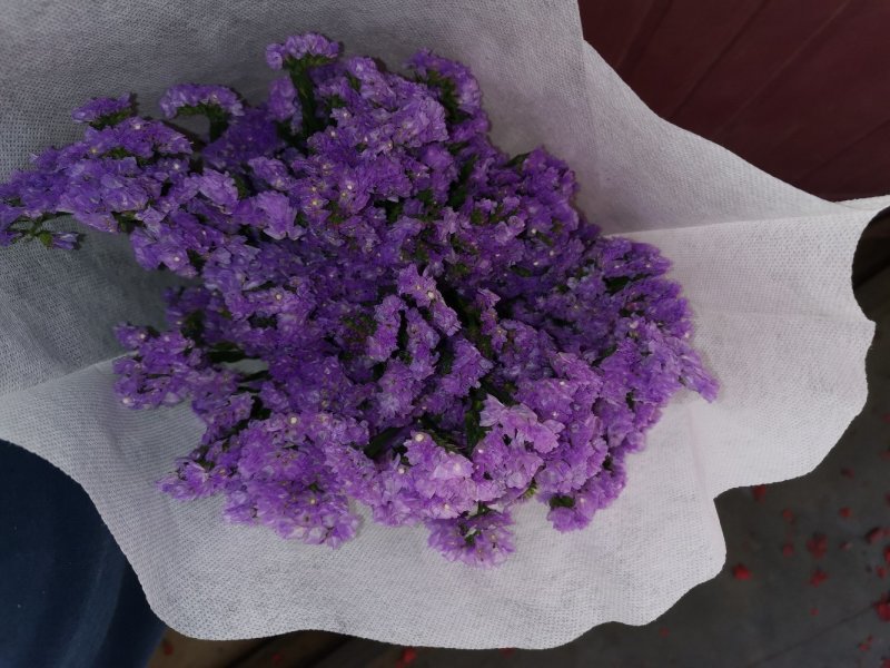 好花平价勿忘我年花拜佛求缘，第一首选