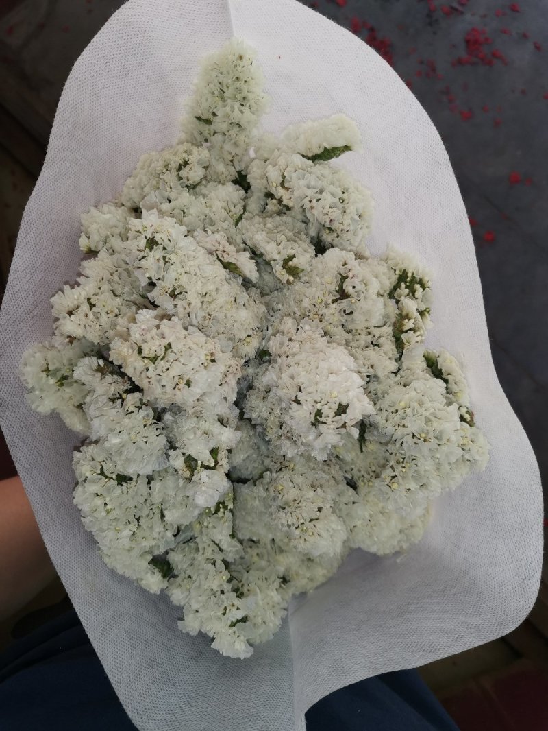 好花平价勿忘我年花拜佛求缘，第一首选