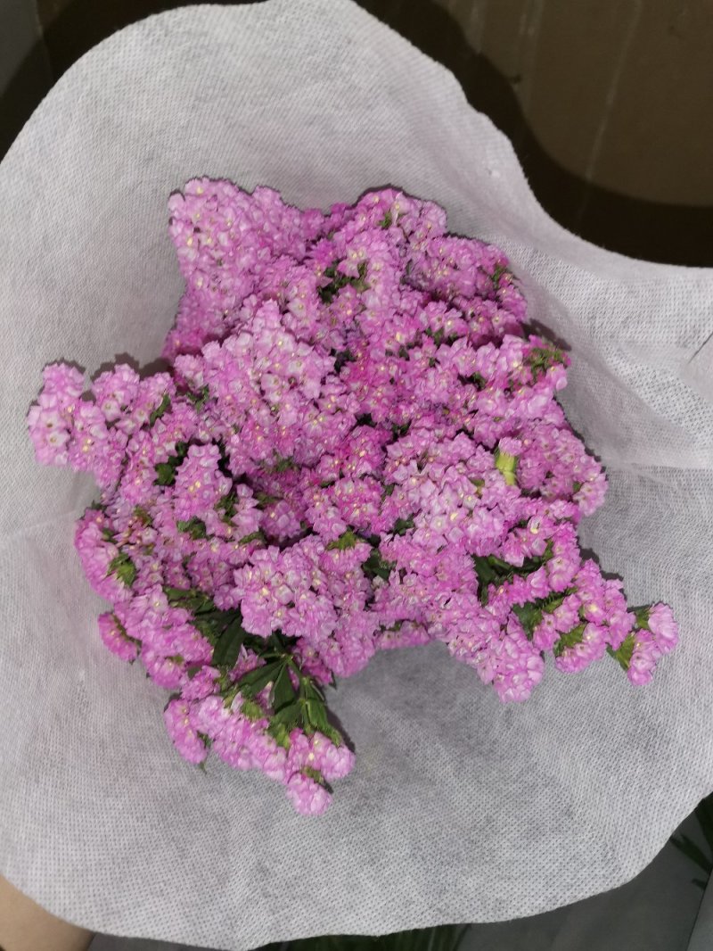 好花平价勿忘我年花拜佛求缘，第一首选