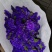 好花平价勿忘我年花拜佛求缘，第一首选