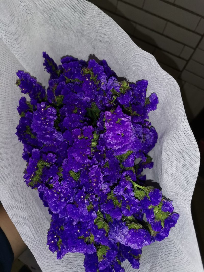 好花平价勿忘我年花拜佛求缘，第一首选