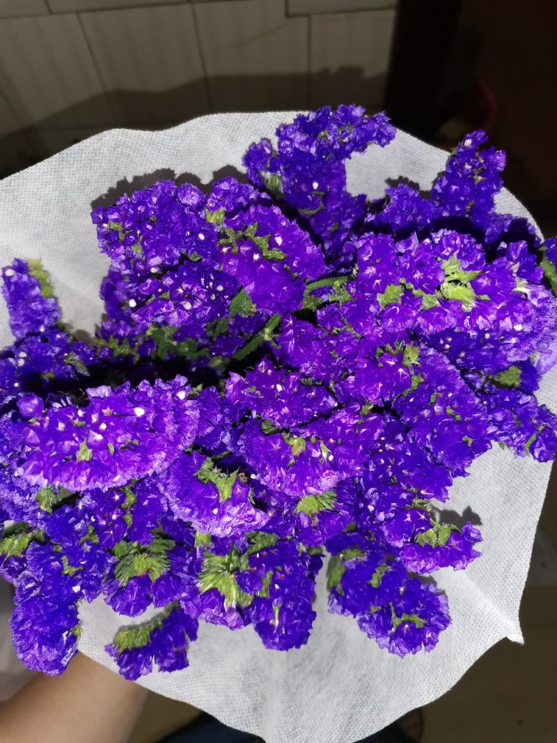 好花平价勿忘我年花拜佛求缘，第一首选
