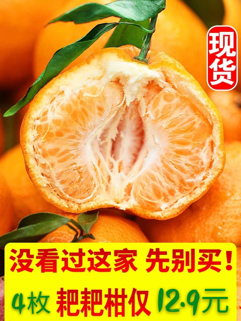 春见耙耙柑顺丰京东包邮四川原产地树果现摘支持一件代发