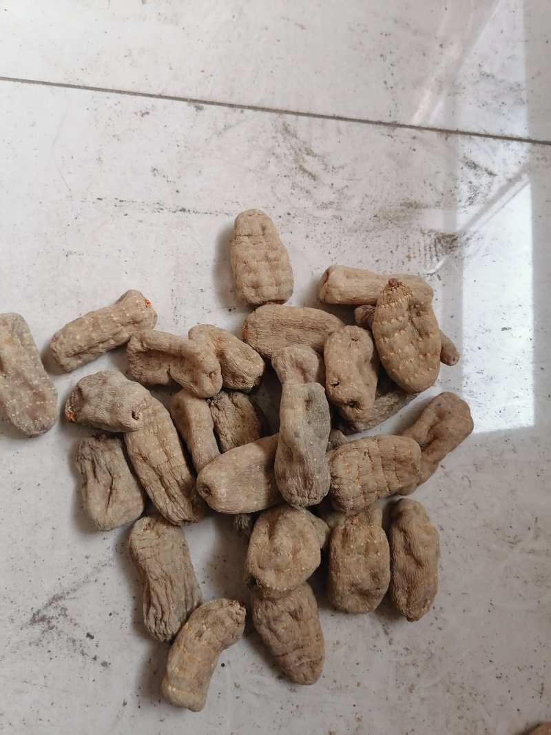 天麻，各个规格野天麻。