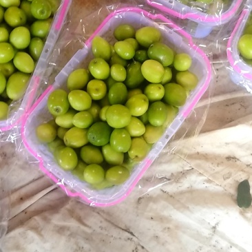 台湾大青枣