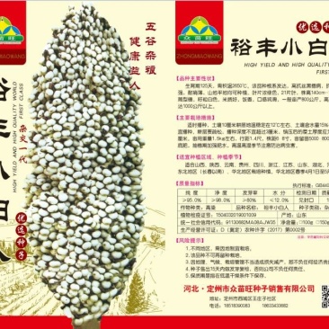 白高粱种子矮杆高产杂交高粱种子