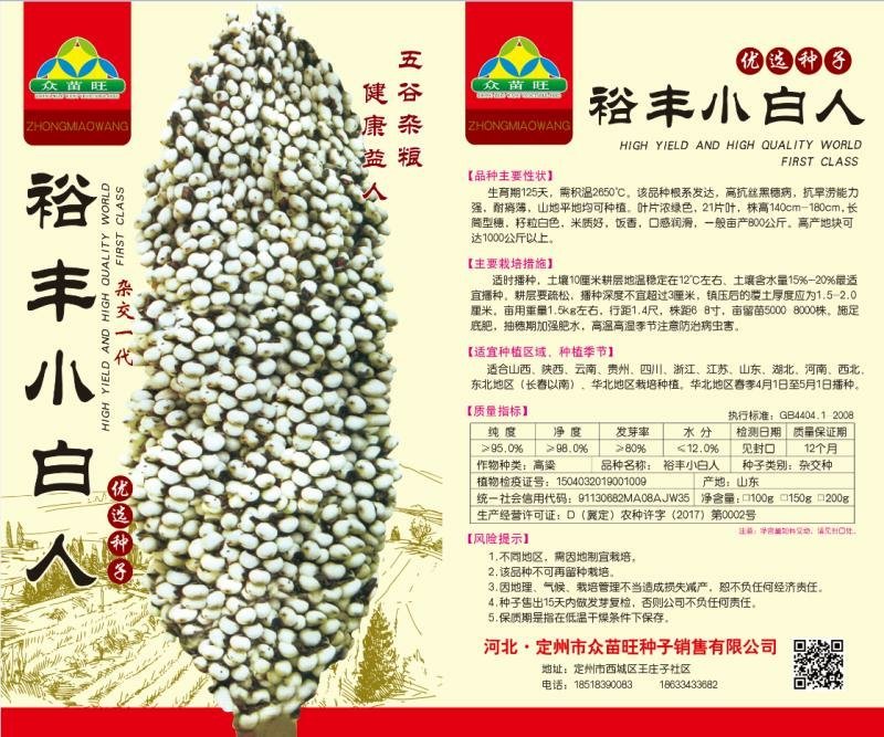 白高粱种子矮杆高产杂交高粱种子