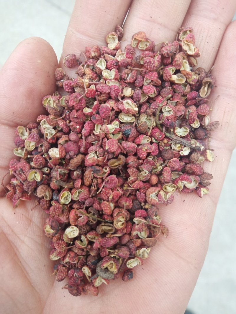 大红袍花椒一级干
