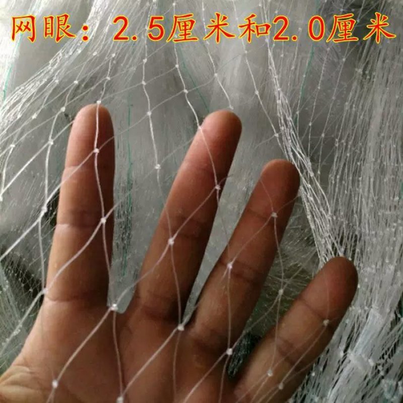 果园防鸟网葡萄大棚保护网家用果树网防鸟1斤55-60平方