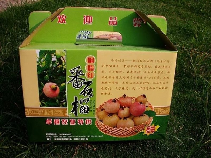 胭脂红番石榴苗正品发货两年苗包邮