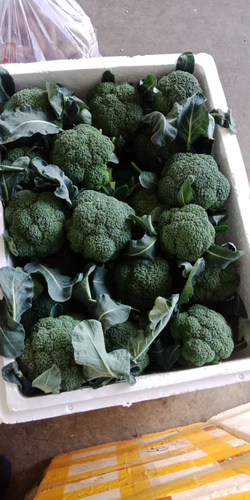 赣州蔬菜批发市场