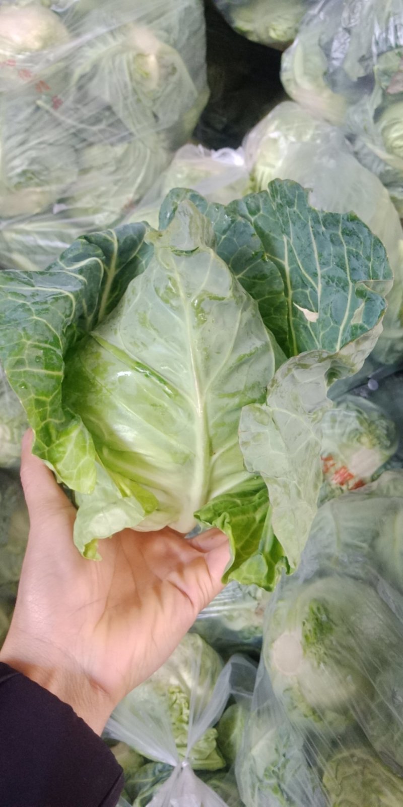赣州蔬菜批发市场