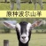 红鹿奶山羊，萨能奶山羊，羊苗，种公羊货到付款。免费运输。