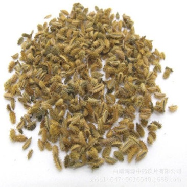 常年批发代购鹤虱量大从优