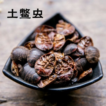 土鳖虫土元土憋虫各种规格中药材