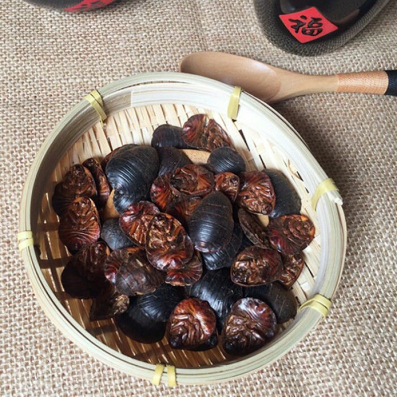 土鳖虫土元土憋虫各种规格中药材