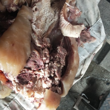 牛头肉