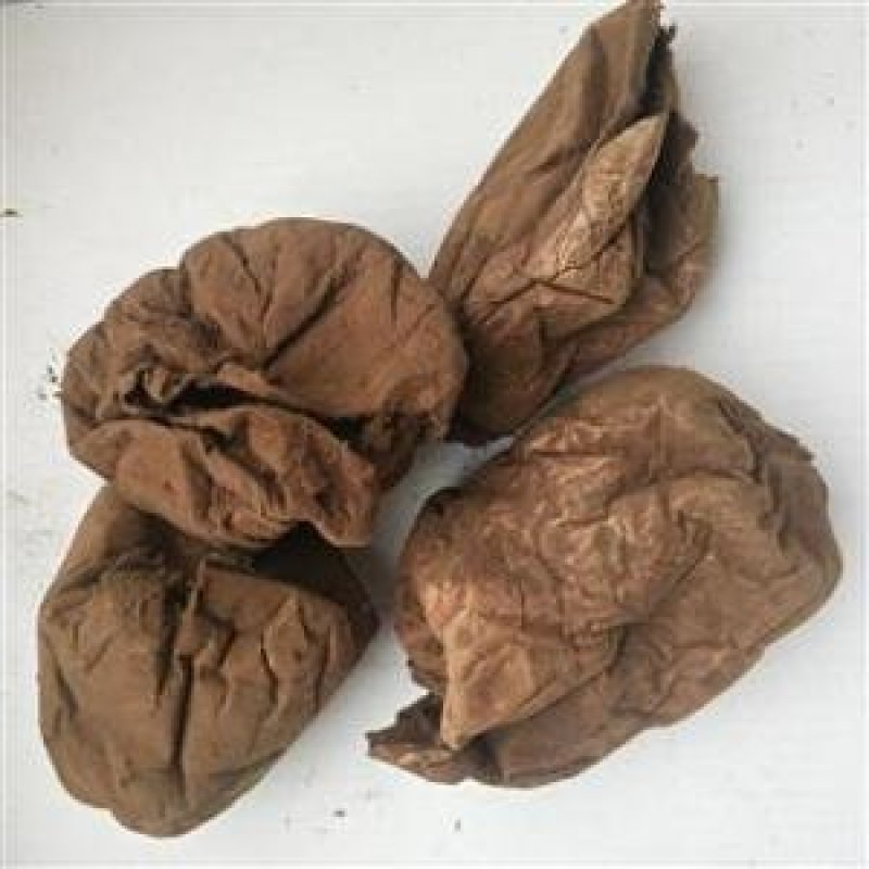 常年批发代购马勃云南贵州各个产地货