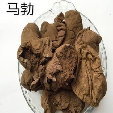 常年批发代购马勃云南贵州各个产地货