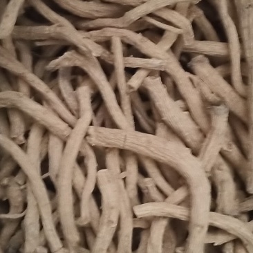 防风