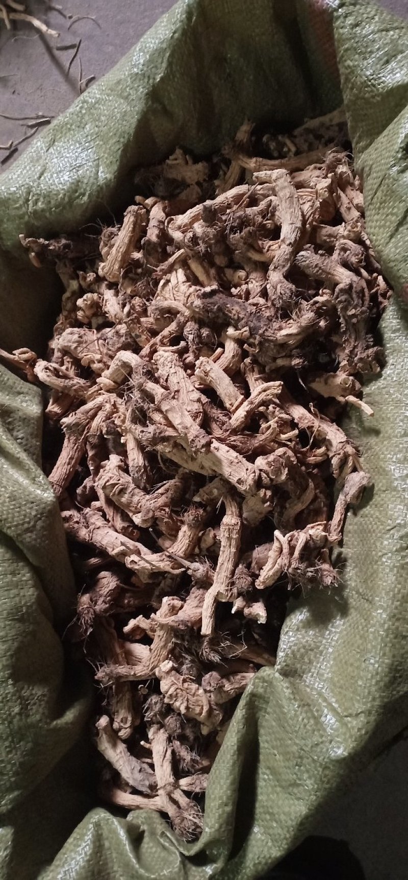 防风