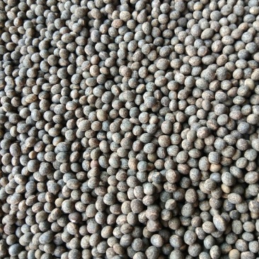 豌豆黑豌豆，量大价格代办火车运输，