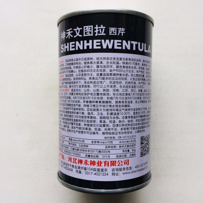 神禾文图拉西芹种子国外引进原种芹菜种籽叶柄实心颜色黄绿