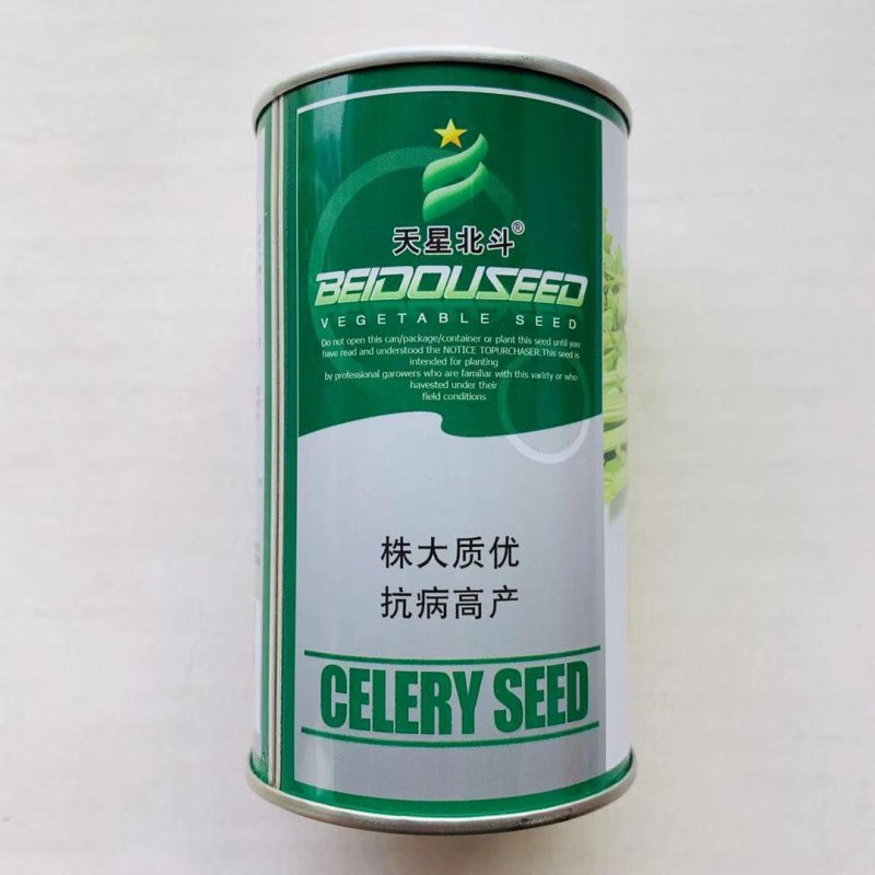 天皇西芹种子芹菜种子耐寒耐热色泽黄亮美芹法芹杂交种子