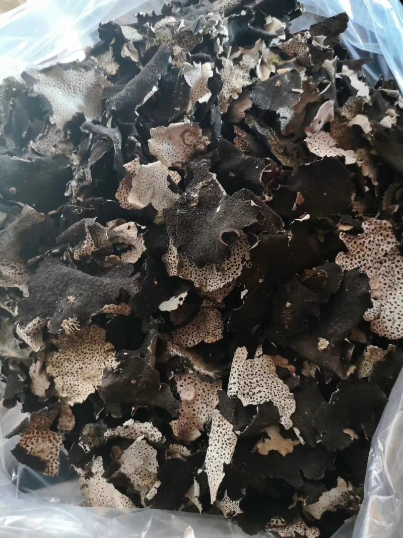 石耳（石菇）石木耳.岩菇.石花，一手货源.一斤起发.
