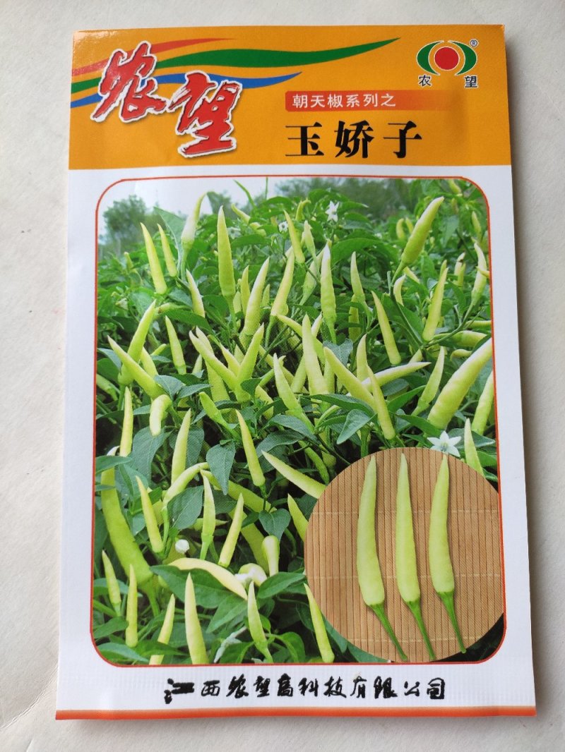 辣椒种子玉骄子小米椒朝天椒种子小米辣早熟香辣椒种子