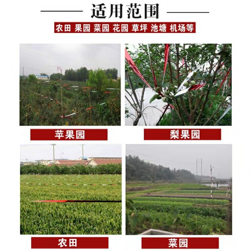 唐唐驱鸟带驱鸟彩带吓鸟赶鸟神器果园阳台家用农田反光警